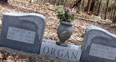 Norene Watson Organ