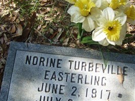 Norine Turbeville Easterling