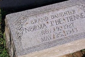 Norma J De Tienne Norma J De Tienne