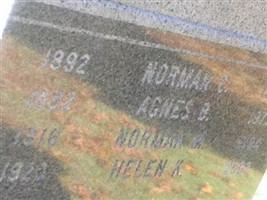 Norman C Hopkins