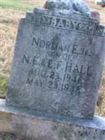 Norman E Hall, Jr