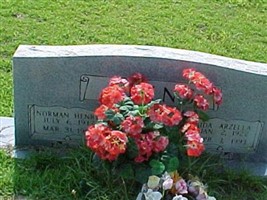 Norman Henry Akins Norman Henry Akins
