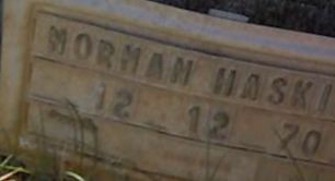 Norman L Haskins