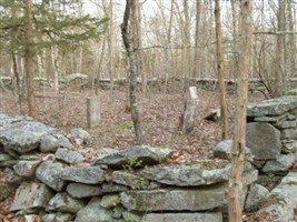 North Davis Farm Cemetery (Plainfield)