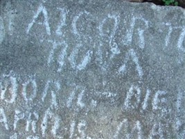 Nova O. Alcorn