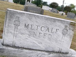 Novella Quinn Metcalfe