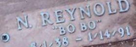 Noyce Reynold "Bo Bo" Davis
