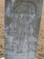 Oak Wooldridge