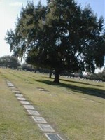 Oakdale Memorial Park