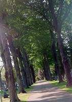 Oakwood Cemetery