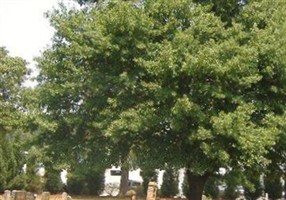 OConner Grove AME Zion Church Cemetery (Belmont) OConner Grove AME Zion Church Cemetery (Belmont)