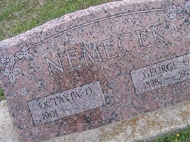 Octavia O Nemecek