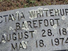 Octavia Whitehurst Barefoot