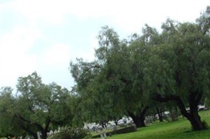 Odd Fellows Cemetery