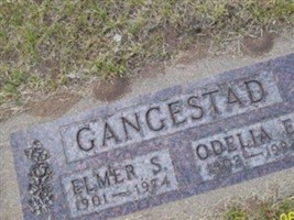 Odelia E Loewenberg Gangestad Odelia E Loewenberg Gangestad