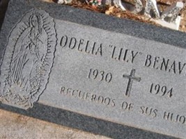 Odelia "Lily" G Benavidez Odelia "Lily" G Benavidez