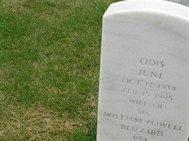 Odis June Blizzard