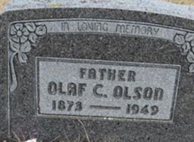 Olaf C Olson