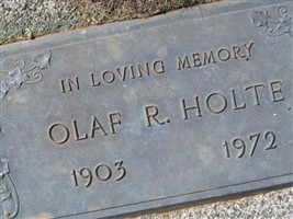 Olaf R Holte