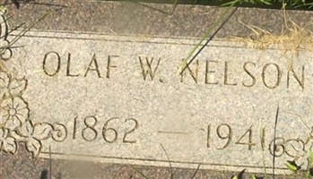 Olaf W Nelson