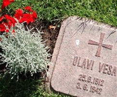 Olavi Johannes Vesa Olavi Johannes Vesa