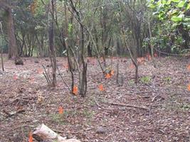 Old County Cemetery