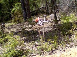 Old Scott Family Cemetery