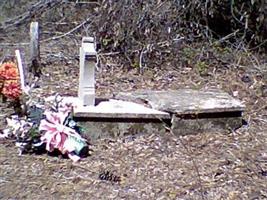 Old Scott Family Cemetery