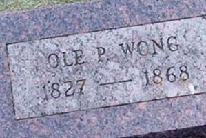 Ole P. Wong