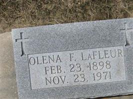 Olena F Lafleur