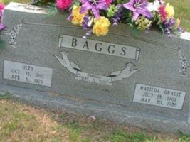 Oley Baggs