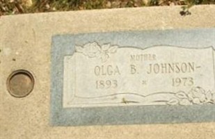 Olga B Johnson