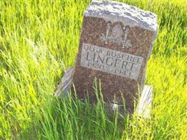 Olga L Boschee Lingert