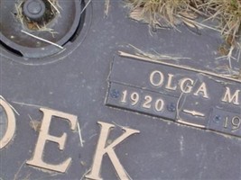 Olga M. Bidek Olga M. Bidek