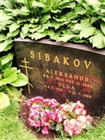 Olga Sibakov