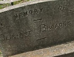 Oliphant Broadus