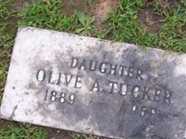 Olive A. Tucker