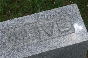 Olive A. Whipple