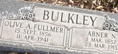 Olive Amanda Fullmer Bulkley Olive Amanda Fullmer Bulkley