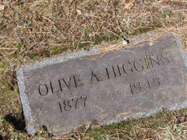 Olive Arvilla Spring Higgins Olive Arvilla Spring Higgins