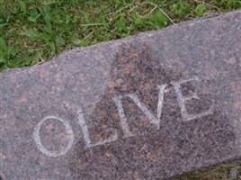 Olive B. Knedler Lang Olive B. Knedler Lang