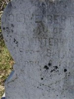 Olive Bertha Winterringer