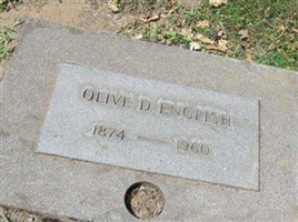 Olive Divers English