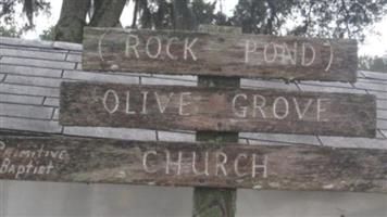Olive Grove Primitive Baptist