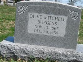 Olive M Mitchell Burgess