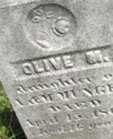 Olive M Munger Olive M Munger