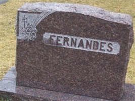 Olive M Rego Fernandes