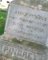 Olive Proctor Pingrey