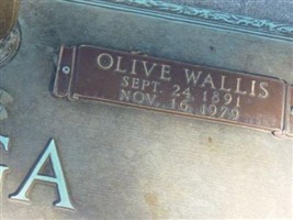 Olive Wallis Vega Olive Wallis Vega