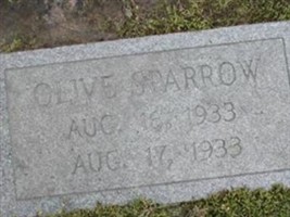 Oliver Sparrow